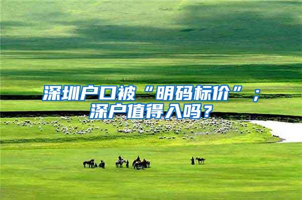 深圳户口被“明码标价”；深户值得入吗？