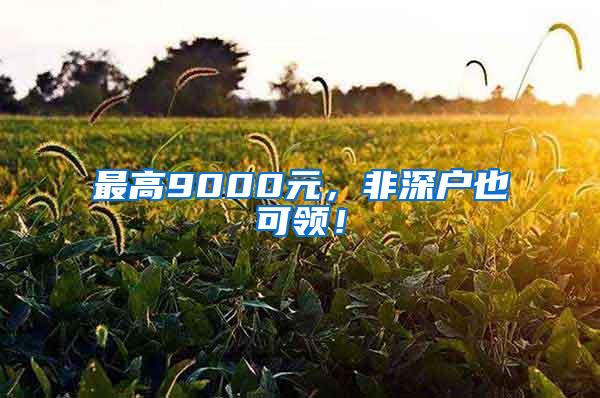 最高9000元，非深户也可领！