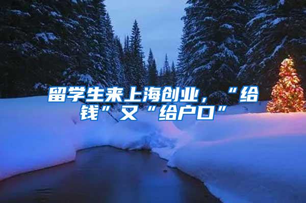 留学生来上海创业，“给钱”又“给户口”