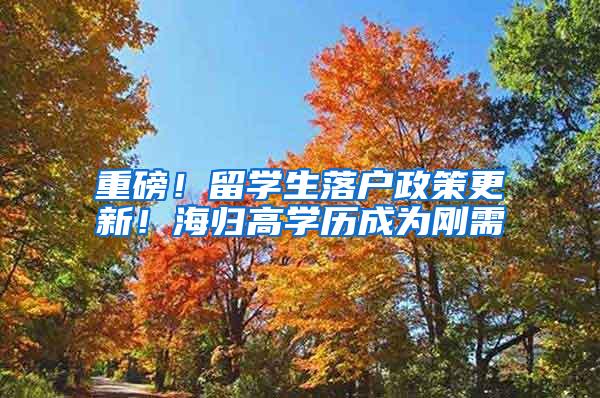 重磅！留学生落户政策更新！海归高学历成为刚需