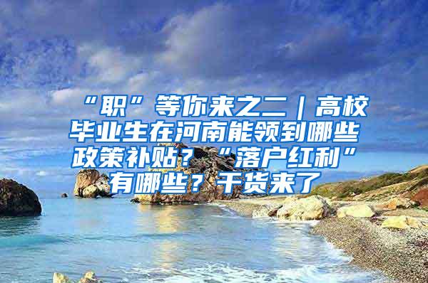 “职”等你来之二｜高校毕业生在河南能领到哪些政策补贴？“落户红利”有哪些？干货来了