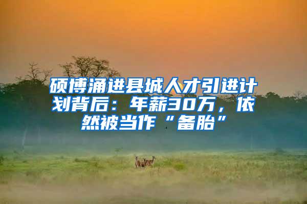硕博涌进县城人才引进计划背后：年薪30万，依然被当作“备胎”