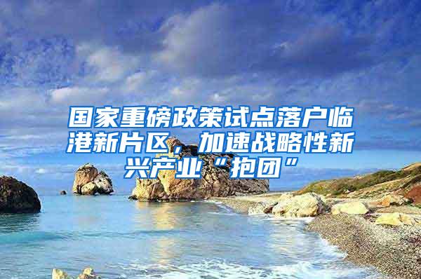 国家重磅政策试点落户临港新片区，加速战略性新兴产业“抱团”
