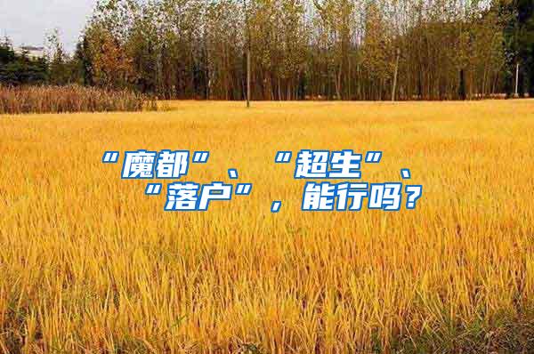“魔都”、“超生”、“落户”，能行吗？