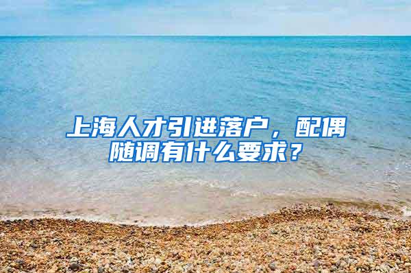 上海人才引进落户，配偶随调有什么要求？