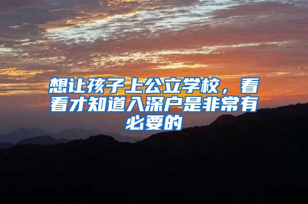想让孩子上公立学校，看看才知道入深户是非常有必要的