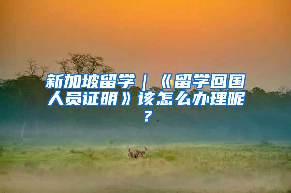 新加坡留学｜《留学回国人员证明》该怎么办理呢？