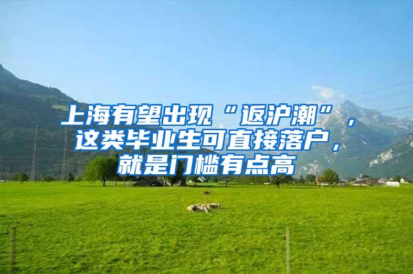 上海有望出现“返沪潮”，这类毕业生可直接落户，就是门槛有点高