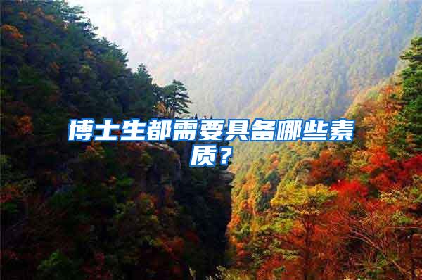 博士生都需要具备哪些素质？