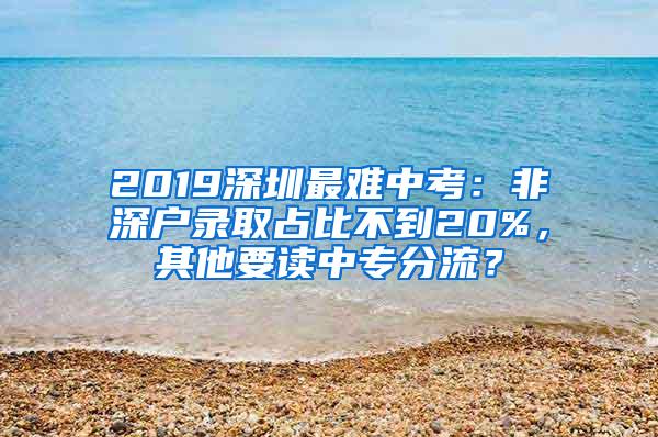 2019深圳最难中考：非深户录取占比不到20%，其他要读中专分流？