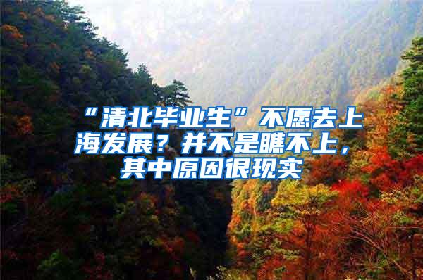 “清北毕业生”不愿去上海发展？并不是瞧不上，其中原因很现实