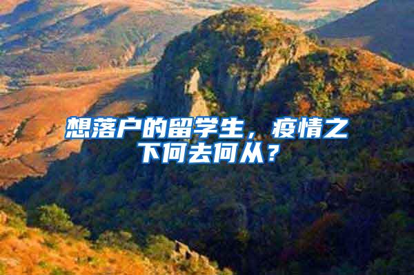 想落户的留学生，疫情之下何去何从？