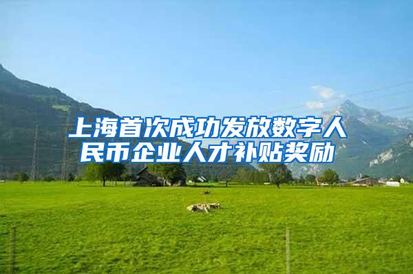 上海首次成功发放数字人民币企业人才补贴奖励
