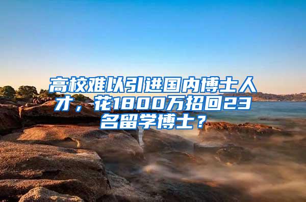 高校难以引进国内博士人才，花1800万招回23名留学博士？