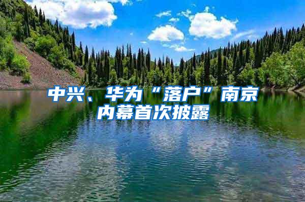 中兴、华为“落户”南京内幕首次披露