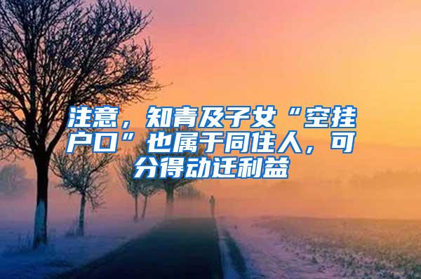 注意，知青及子女“空挂户口”也属于同住人，可分得动迁利益