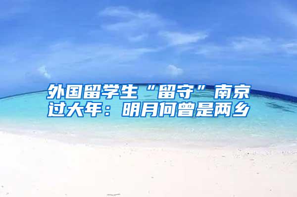 外国留学生“留守”南京过大年：明月何曾是两乡