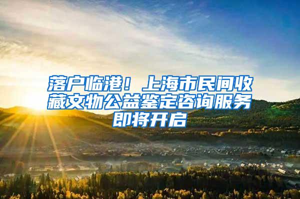 落户临港！上海市民间收藏文物公益鉴定咨询服务即将开启