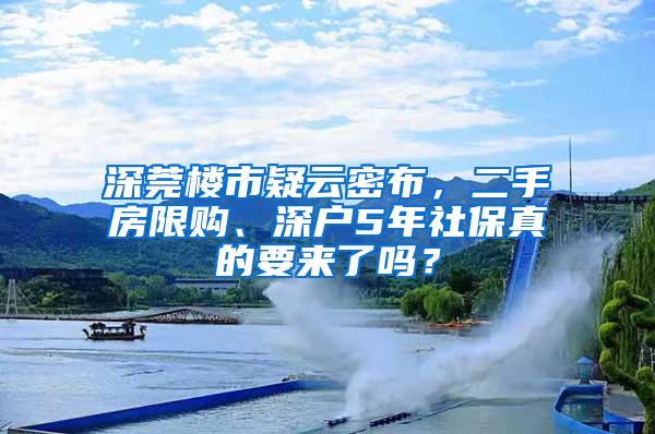 深莞楼市疑云密布，二手房限购、深户5年社保真的要来了吗？