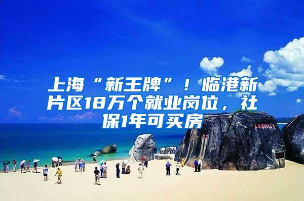 上海“新王牌”！临港新片区18万个就业岗位，社保1年可买房