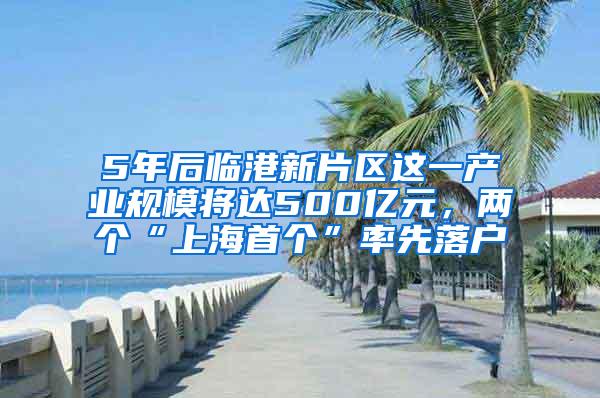 5年后临港新片区这一产业规模将达500亿元，两个“上海首个”率先落户