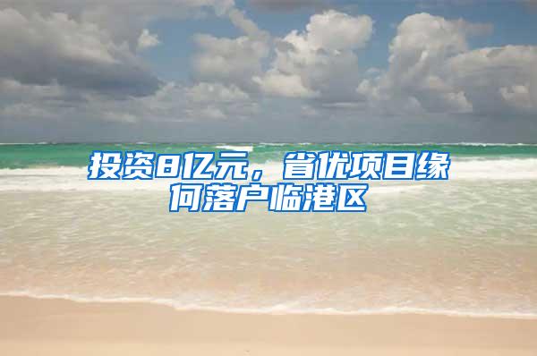 投资8亿元，省优项目缘何落户临港区
