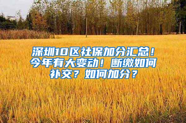 深圳10区社保加分汇总！今年有大变动！断缴如何补交？如何加分？