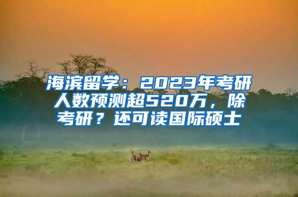 海滨留学：2023年考研人数预测超520万，除考研？还可读国际硕士