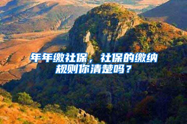 年年缴社保，社保的缴纳规则你清楚吗？