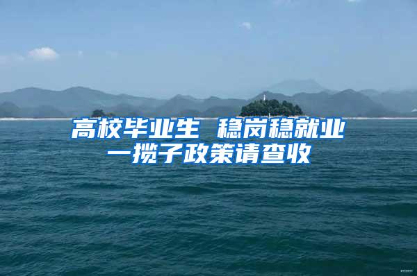 高校毕业生 稳岗稳就业一揽子政策请查收