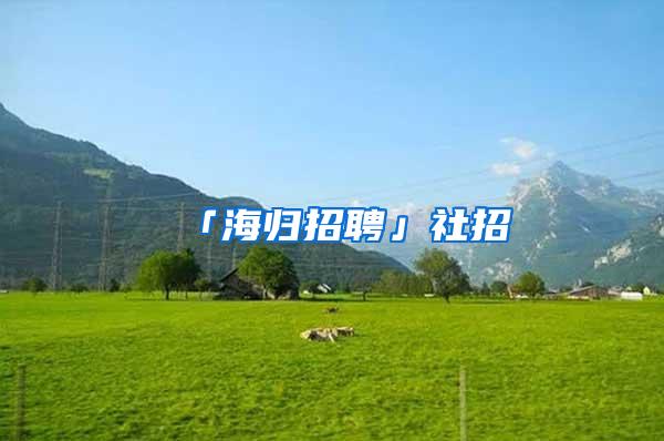 「海归招聘」社招