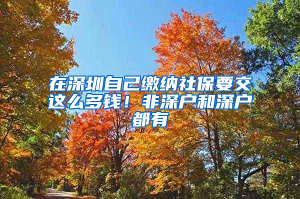 在深圳自己缴纳社保要交这么多钱！非深户和深户都有