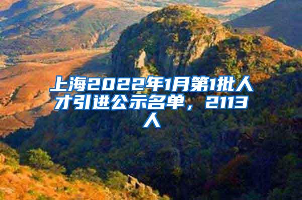 上海2022年1月第1批人才引进公示名单，2113人