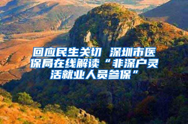 回应民生关切 深圳市医保局在线解读“非深户灵活就业人员参保”