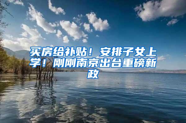 买房给补贴！安排子女上学！刚刚南京出台重磅新政