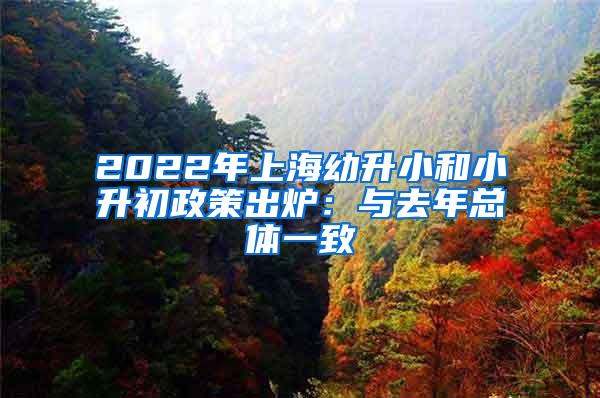 2022年上海幼升小和小升初政策出炉：与去年总体一致