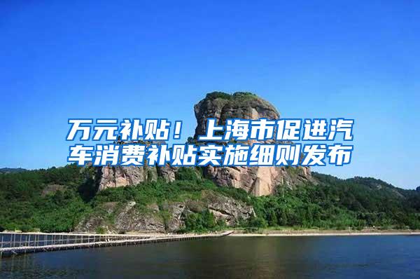 万元补贴！上海市促进汽车消费补贴实施细则发布