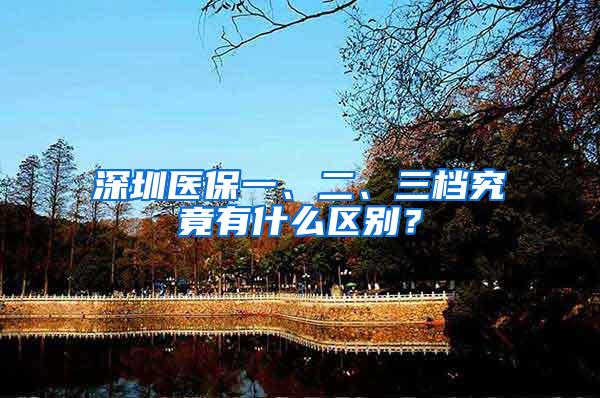 深圳医保一、二、三档究竟有什么区别？
