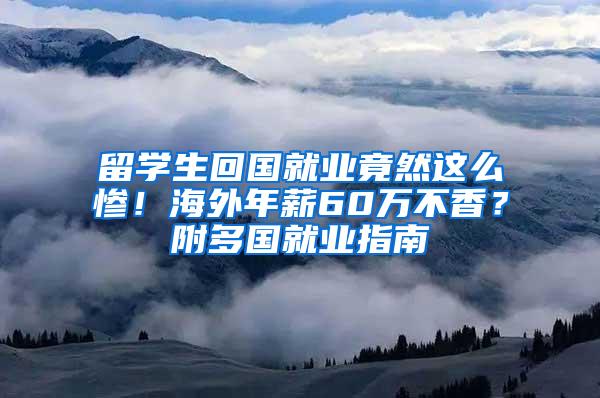 留学生回国就业竟然这么惨！海外年薪60万不香？附多国就业指南