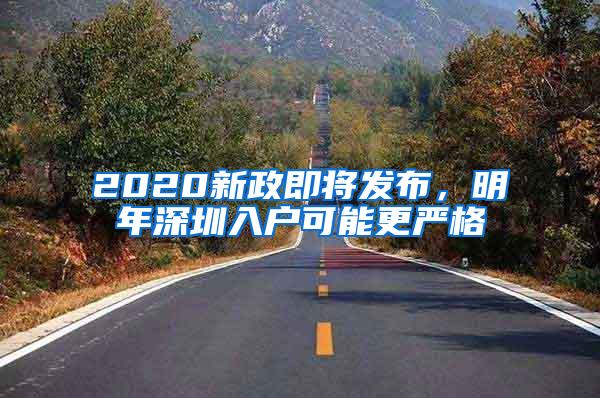 2020新政即将发布，明年深圳入户可能更严格