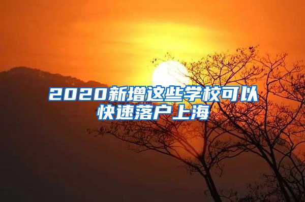 2020新增这些学校可以快速落户上海