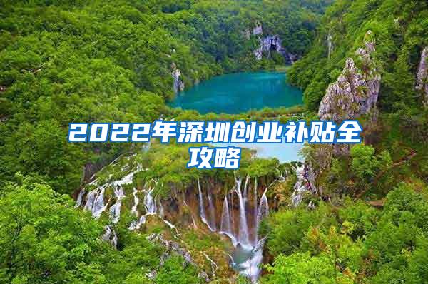 2022年深圳创业补贴全攻略