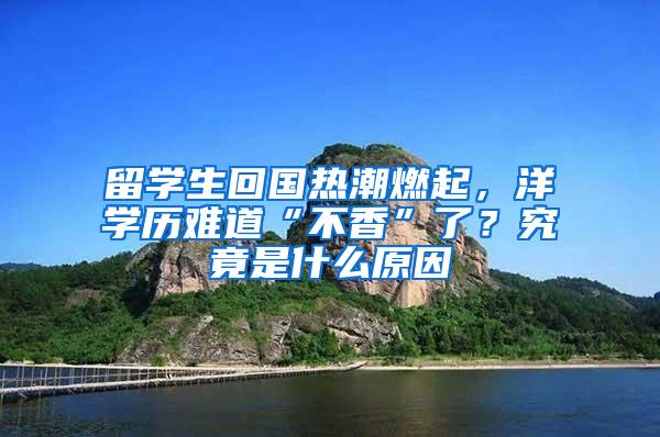 留学生回国热潮燃起，洋学历难道“不香”了？究竟是什么原因