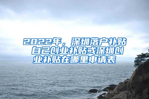 2022年，深圳落户补贴 自己创业补贴或深圳创业补贴在哪里申请表