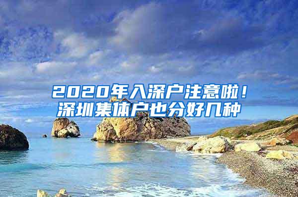 2020年入深户注意啦！深圳集体户也分好几种