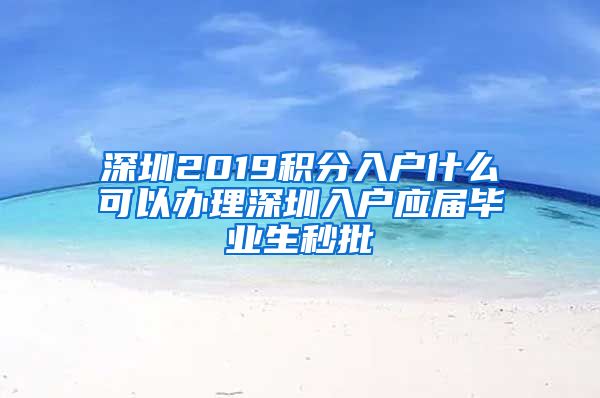 深圳2019积分入户什么可以办理深圳入户应届毕业生秒批