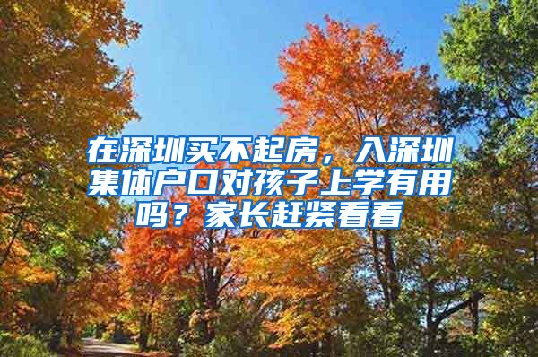 在深圳买不起房，入深圳集体户口对孩子上学有用吗？家长赶紧看看