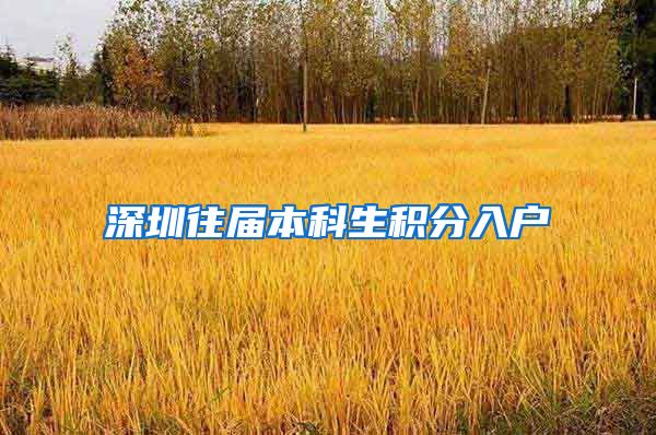 深圳往届本科生积分入户