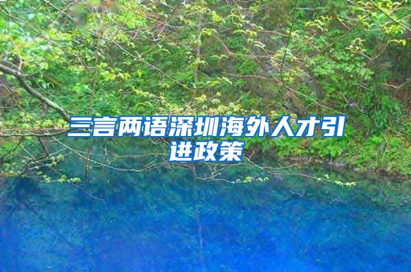 三言两语深圳海外人才引进政策