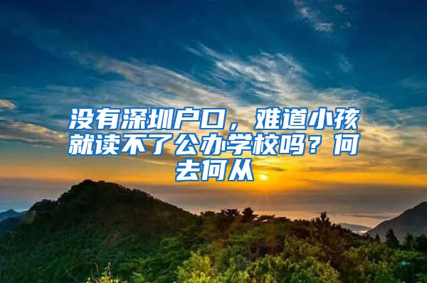 没有深圳户口，难道小孩就读不了公办学校吗？何去何从